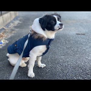 Meet your Posher, Guillermo